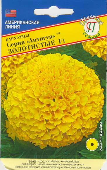 Бархатцы Антигуа F1 золотистые (престиж) 5 шт  – купить в г. Волгоград