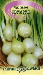 Лук шалот Изумруд (гавриш) 0,1гр