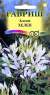 Клеома Хелен (гавриш) 0,2гр  – купить в г. Волгоград