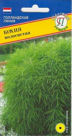 Кохия волосистая (престиж) 1,0гр  – купить в г. Волгоград