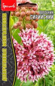 Ваточник Сирийский (Григорьев) 15шт Ваточник Сирийский (Григорьев) 15шт