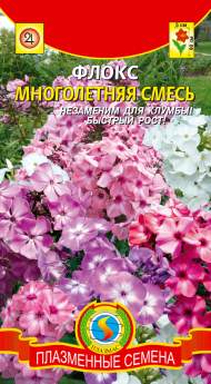 Флокс Многолетняя смесь (плазмас) 5 шт Флокс Многолетняя смесь (плазмас) 5 шт