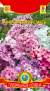 Флокс Многолетняя смесь (плазмас) 5 шт  – купить в г. Волгоград