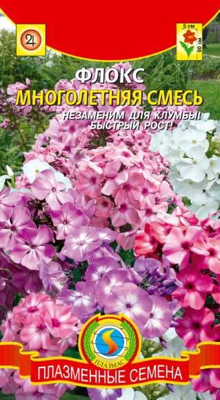 Флокс Многолетняя смесь (плазмас) 5 шт  – купить в г. Волгоград