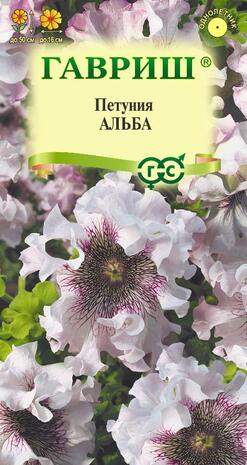 Петуния Альба (гавриш) 7 шт  – купить в г. Волгоград