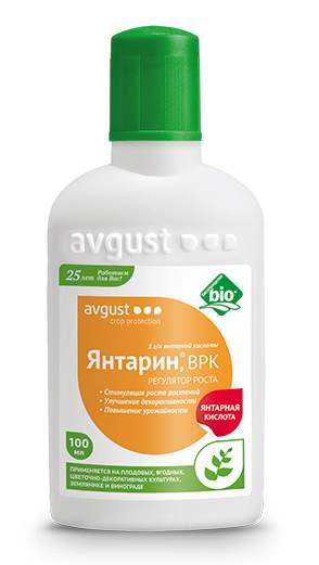 Янтарин 100мл (август)  – купить в г. Волгоград