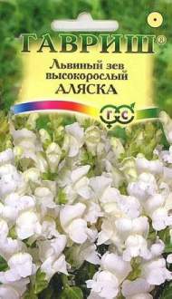 Антирринум (львиный зев) Аляска (г) 0,05 гр Антирринум (львиный зев) Аляска (г) 0,05 гр