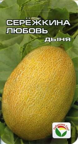 Дыня Сережкина любовь (сибирский сад) 5 шт – купить в г. Волгоград Дыня Сережкина любовь (сибирский сад) 5 шт – купить в г. Волгоград