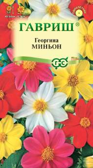 Георгина Миньон (гавриш) 0,3 гр Георгина Миньон (гавриш) 0,3 гр