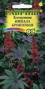 Клещевина Импала бронзовая (гавриш) 5 шт  – купить в г. Волгоград