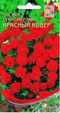 Космея серножелтая Красный ковер (дом семян) 30 шт – купить в г. Волгоград Космея серножелтая Красный ковер (дом семян) 30 шт – купить в г. Волгоград