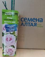 Роза Алтай чайно-гибридная Баунти Вей 1шт 