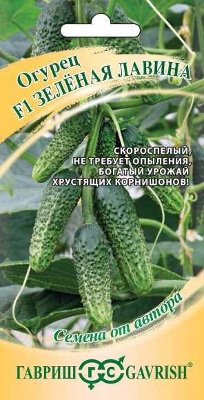 Огурец Зеленая лавина F1 (гавриш) 10 шт – купить в г. Волгоград Огурец Зеленая лавина F1 (гавриш) 10 шт – купить в г. Волгоград