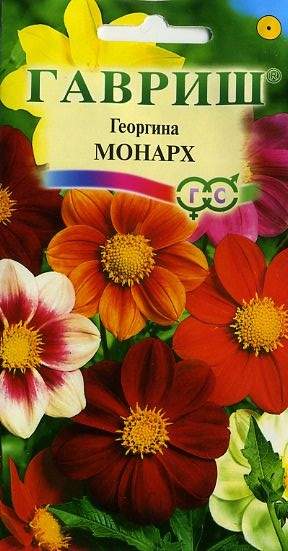 Георгина Монарх (гавриш) 0,3гр – купить в г. Волгоград Георгина Монарх (гавриш) 0,3гр – купить в г. Волгоград