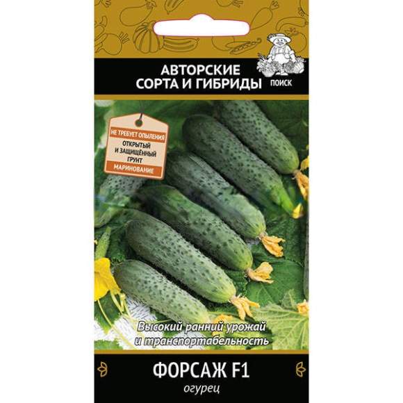 Огурец Форсаж F1 (поиск) 12шт  – купить в г. Волгоград