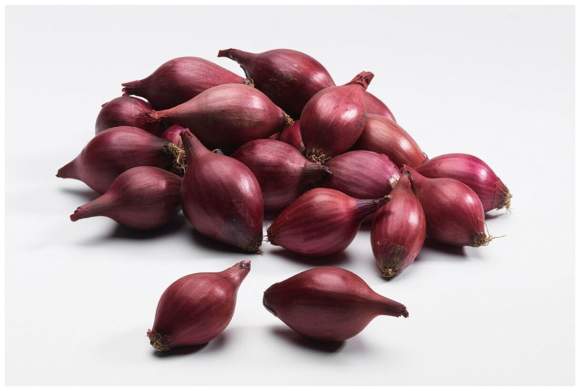 Лук-севок Ред Барон разбор 20/24 (Голландия) – купить в г. Волгоград Лук-севок Ред Барон разбор 20/24 (Голландия) – купить в г. Волгоград