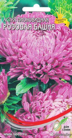 Астра Розовая башня (дом семян) 90 шт  – купить в г. Волгоград