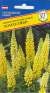 Люпин Канделябр (престиж) 15 шт многолетний  – купить в г. Волгоград