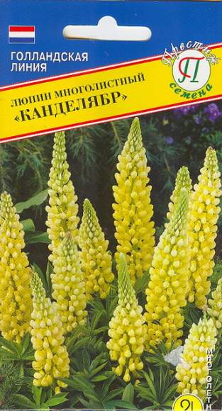 Люпин Канделябр (престиж) 15 шт многолетний  – купить в г. Волгоград