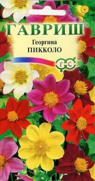 Георгина Пикколо (гавриш) 0,3 гр Георгина Пикколо (гавриш) 0,3 гр