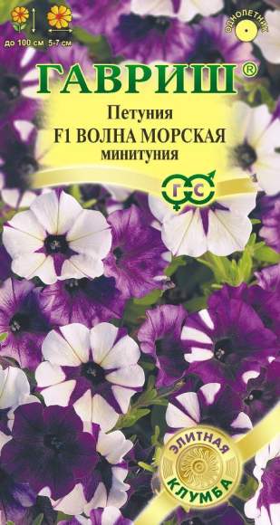 Петуния суперкаскадная Волна морская F1 минитуния (гавриш) 4шт – купить в г. Волгоград Петуния суперкаскадная Волна морская F1 минитуния (гавриш) 4шт – купить в г. Волгоград