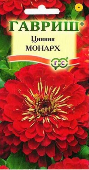 Цинния Монарх (гавриш) 0,3 гр  – купить в г. Волгоград