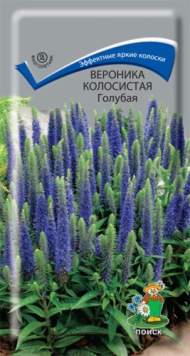 Вероника колосистая Голубая (поиск) 0,1 гр
