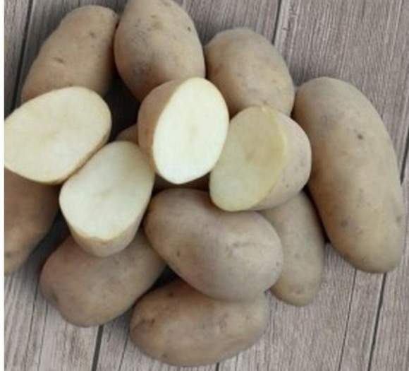 Картофель Варяг (упаковка 2кг+-10%) – купить в г. Волгоград Картофель Варяг (упаковка 2кг+-10%) – купить в г. Волгоград