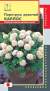 Пиретрум девичий Карлос (плазмас) 10шт  – купить в г. Волгоград