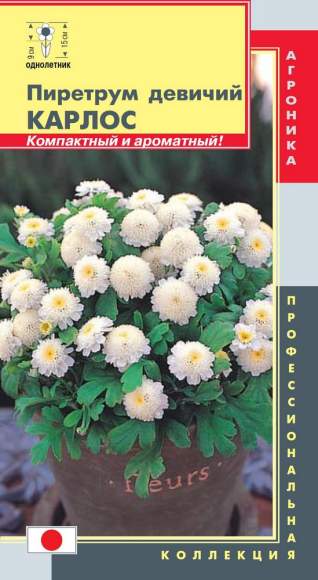 Пиретрум девичий Карлос (плазмас) 10шт  – купить в г. Волгоград