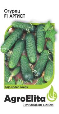 Огурец Артист F1 (агроэлита) 5 шт (bejo) Огурец Артист F1 (агроэлита) 5 шт (bejo)