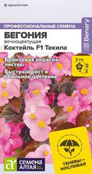 Бегония вечноцветущая Коктейль Текила F1 (семена Алтая) 5 шт Бегония вечноцветущая Коктейль Текила F1 (семена Алтая) 5 шт