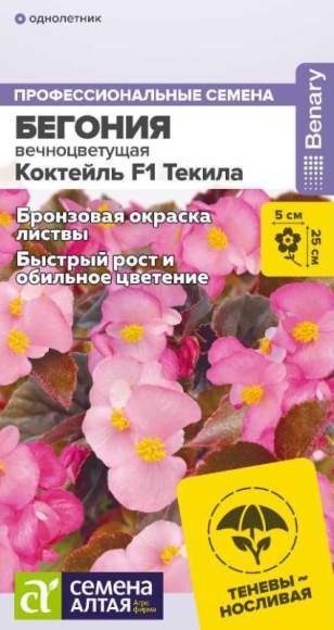 Бегония вечноцветущая Коктейль Текила F1 (семена Алтая) 5 шт  – купить в г. Волгоград