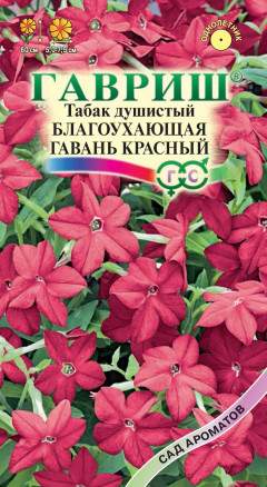 Душистый декоративный табак Благоухающая гавань красный  F1 (гавриш) 4шт  – купить в г. Волгоград