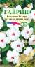 Бальзамин Карнавал черри липс F1 (гавриш) 4шт  – купить в г. Волгоград