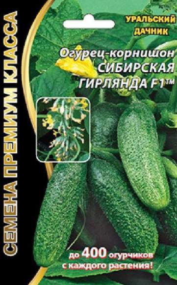 Огурец Сибирская гирлянда F1 (уральский дачник) 5 шт  – купить в г. Волгоград