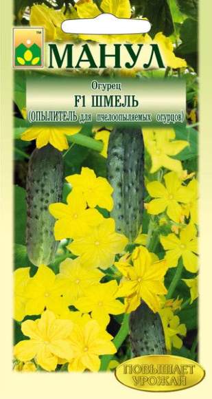 Огурец Шмель F1 (манул) 10шт  – купить в г. Волгоград