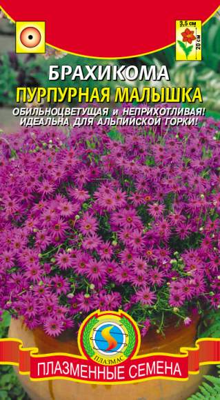 Брахикома Пурпурная малышка (плазмас) 0,05гр  – купить в г. Волгоград