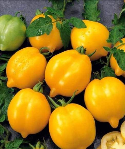 Томат Чудо Света (нк) 0,1гр  – купить в г. Волгоград