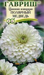 Цинния Полярный медведь (гавриш) 0,3 гр – купить в г. Волгоград Цинния Полярный медведь (гавриш) 0,3 гр – купить в г. Волгоград