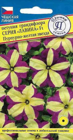 Петуния грандифлора F1 Лавина пурпурно-желтая звезда (престиж) 10 шт  – купить в г. Волгоград