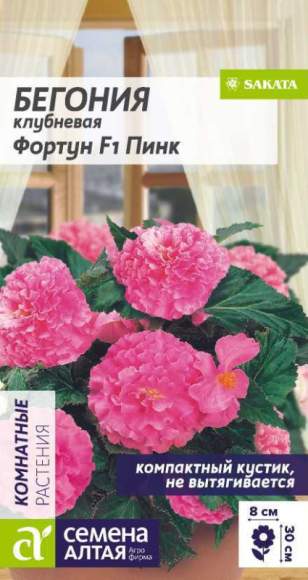 Бегония клубневая Фортун Пинк F1 (семена Алтая) 4 шт  – купить в г. Волгоград