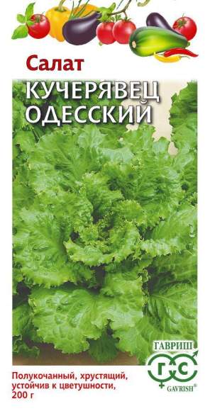 Салат полукочанный Одесский кучерявец (гавриш) 0,5 гр  – купить в г. Волгоград