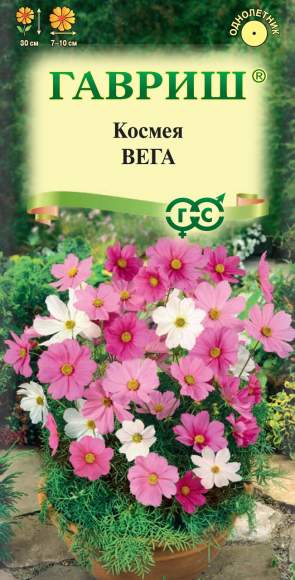 Космея Вега карликовая (гавриш) 0,5 гр  – купить в г. Волгоград