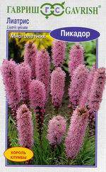 Лиатрис Пикадор (гавриш) 0,05 гр – купить в г. Волгоград Лиатрис Пикадор (гавриш) 0,05 гр – купить в г. Волгоград