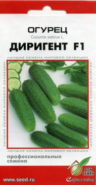 Огурец Диригент F1 (дом семян) 6 шт Огурец Диригент F1 (дом семян) 6 шт