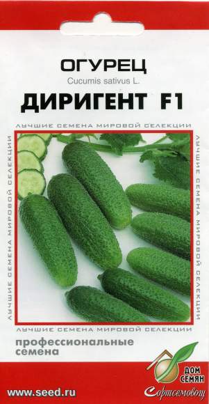 Огурец Диригент F1 (дом семян) 6 шт  – купить в г. Волгоград