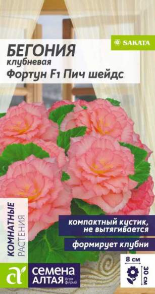 Бегония клубневая Фортун Пич Шейдс F1 (семена Алтая) 4 шт  – купить в г. Волгоград