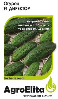 Огурец Директор F1 (агроэлита) 5 шт (nunhems) Огурец Директор F1 (агроэлита) 5 шт (nunhems)