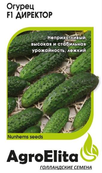 Огурец Директор F1 (агроэлита) 5 шт (голландия) Огурец Директор F1 (агроэлита) 5 шт (голландия)